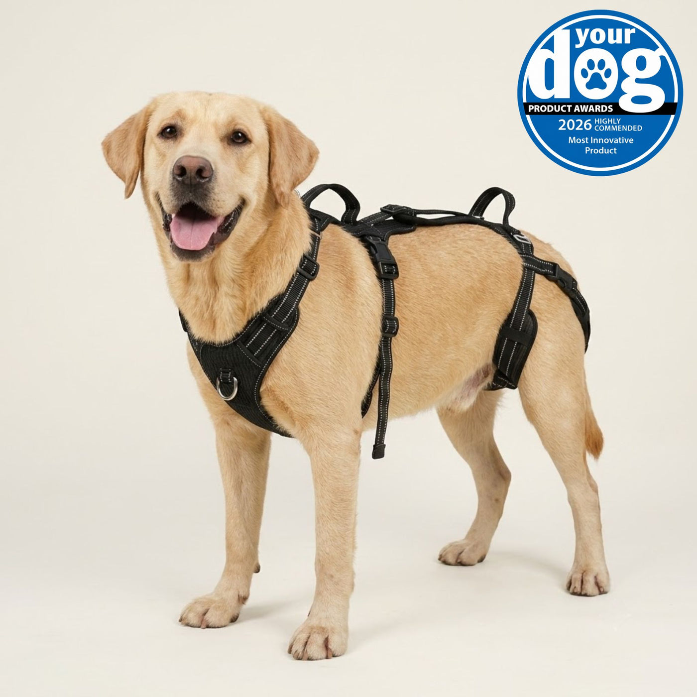 Pawwie LiftAssist™ Full-Body Harness