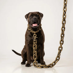 The Big Dawg™ Chain Leash