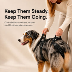 Pawwie LiftAssist™ Full-Body Harness