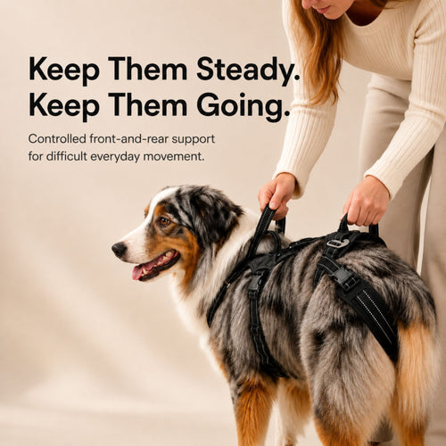 Pawwie LiftAssist™ Full-Body Harness