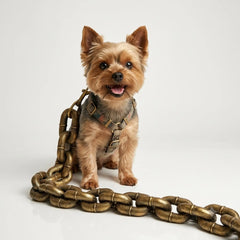 The Big Dawg™ Chain Leash