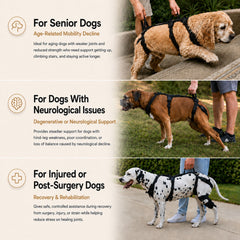 Pawwie LiftAssist™ Full-Body Harness