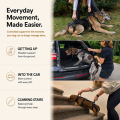 Pawwie LiftAssist™ Full-Body Harness