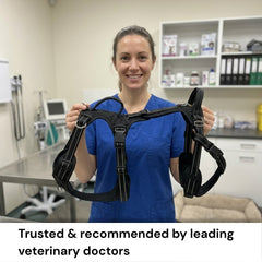 Pawwie LiftAssist™ Full-Body Harness