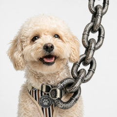 The Big Dawg™ Chain Leash
