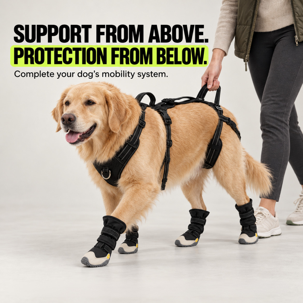 PawProtect™ boots worn together with the Pawwie LiftAssist™ Harness