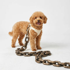 The Big Dawg™ Chain Leash
