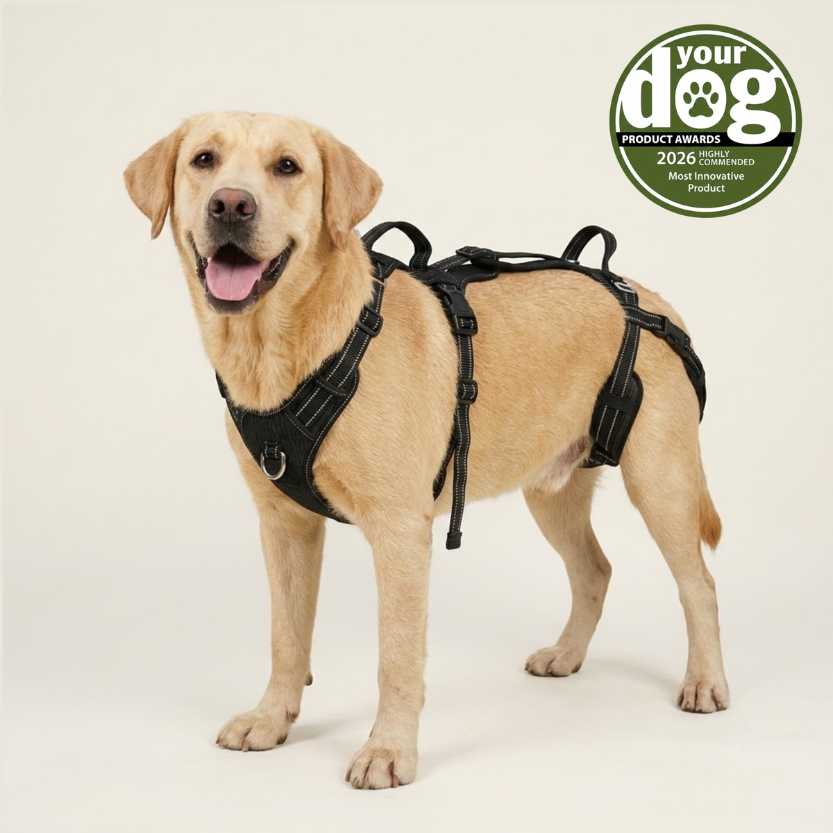 Pawwie LiftAssist™ Full-Body Harness